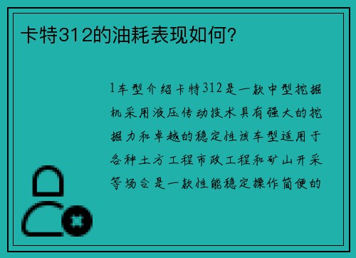 卡特312的油耗表现如何？
